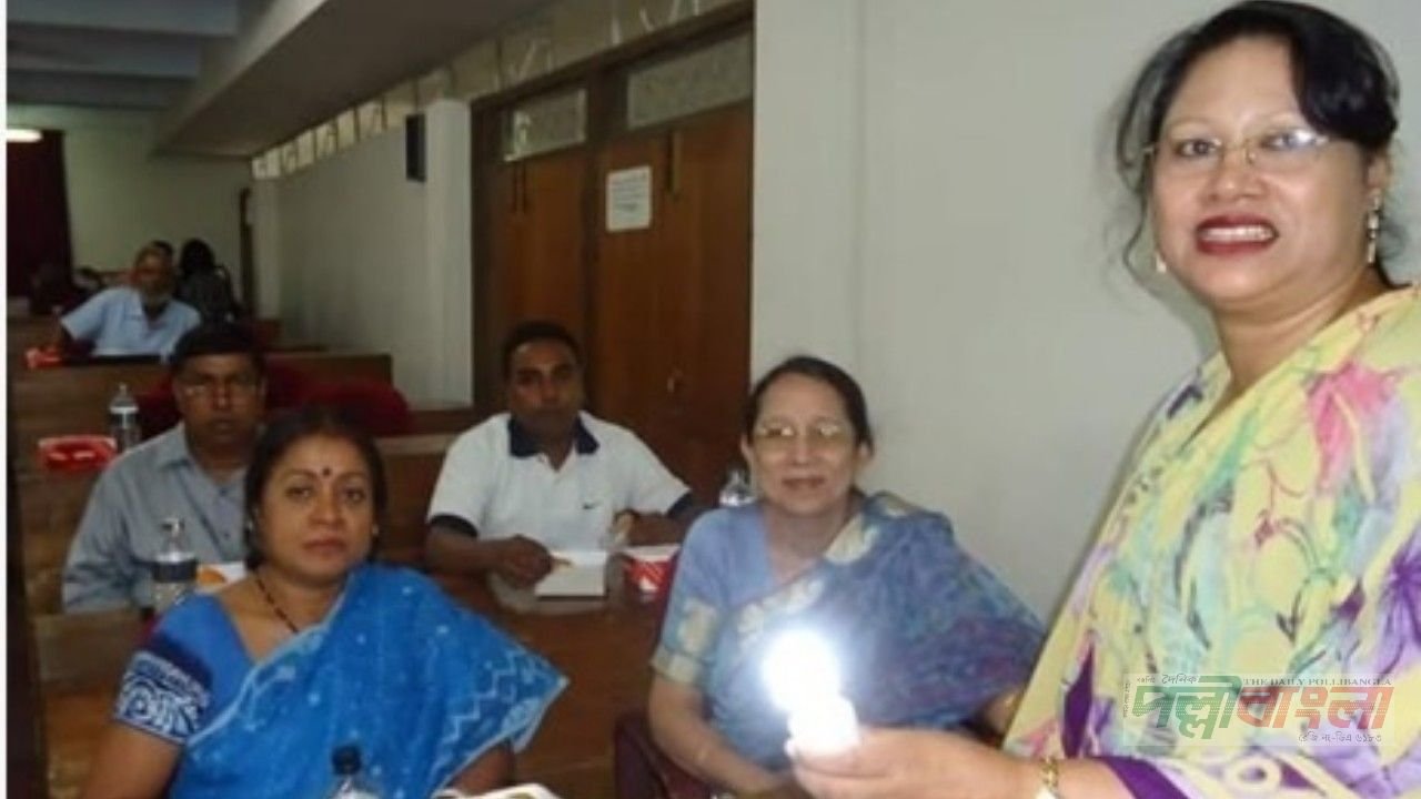 বাংলাদেশে পিকেএল (PKL) বিদ্যুতের সম্ভাবনা