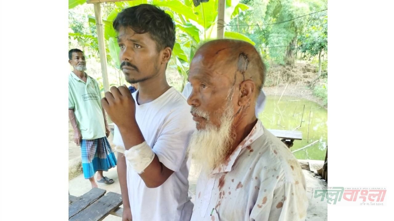 রাজাবাড়ীর পাবুরিয়াচালা গ্রামে হামলার অভিযোগ