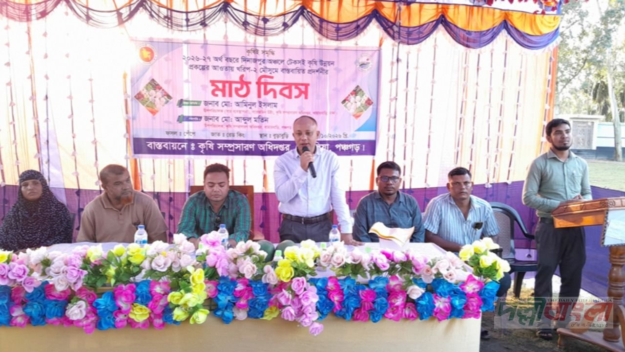 তেঁতুলিয়ায় বাস্তবায়িত পেঁপে প্রদর্শনীর মাঠ দিবস অনুষ্ঠিত