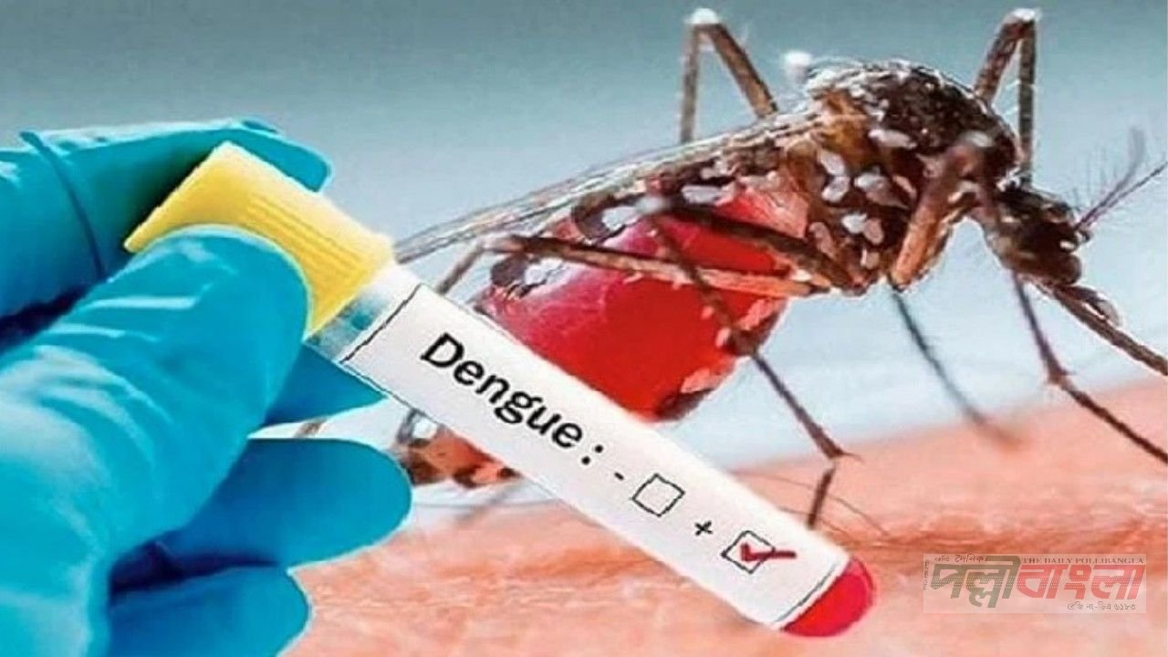২৪ ঘণ্টায় ডেঙ্গুতে আরও ৬ জনের মৃত্যু, হাসপাতালে ভর্তি ২০৮৮