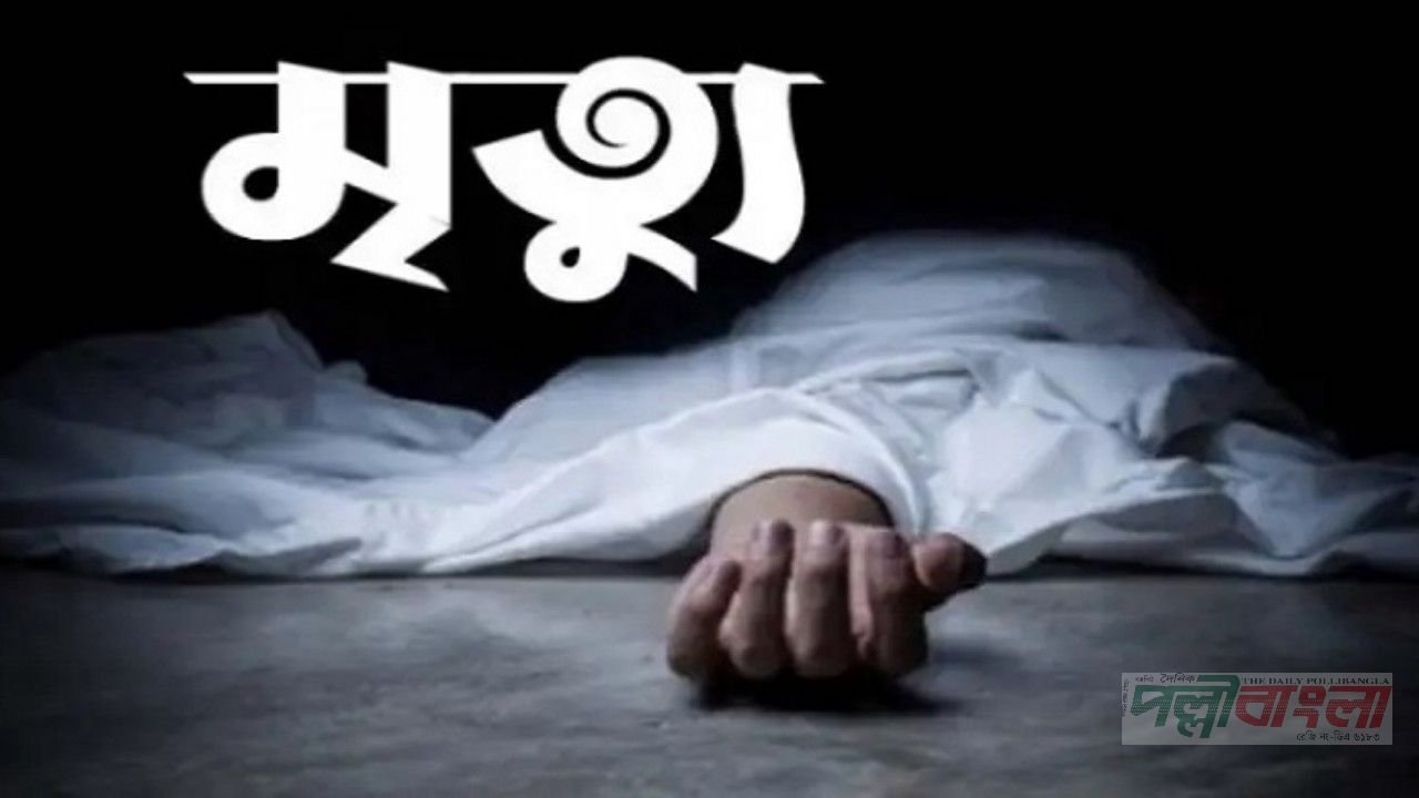 সরিষাবাড়ীতে দুর্গা পূজা মণ্ডপে নাচতে নাচতে অসুস্থ, অতঃপর মৃত্যু