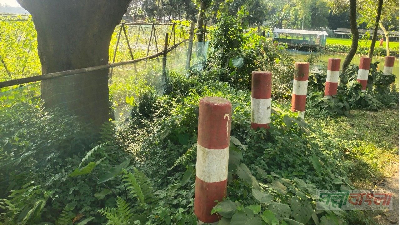 সরিষাবাড়ীতে নকশাভুক্ত সরকারি রাস্তা উদ্ধারের দাবি এলাকাবাসীর