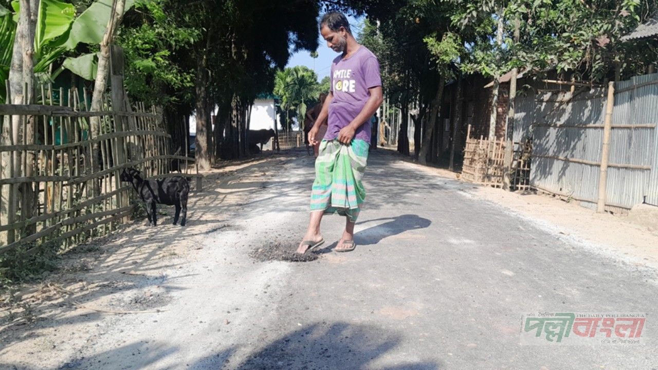 পঞ্চগড়ের তেঁতুলিয়ায় পায়ের ঘষায় উঠে যাচ্ছে কার্পেটিং